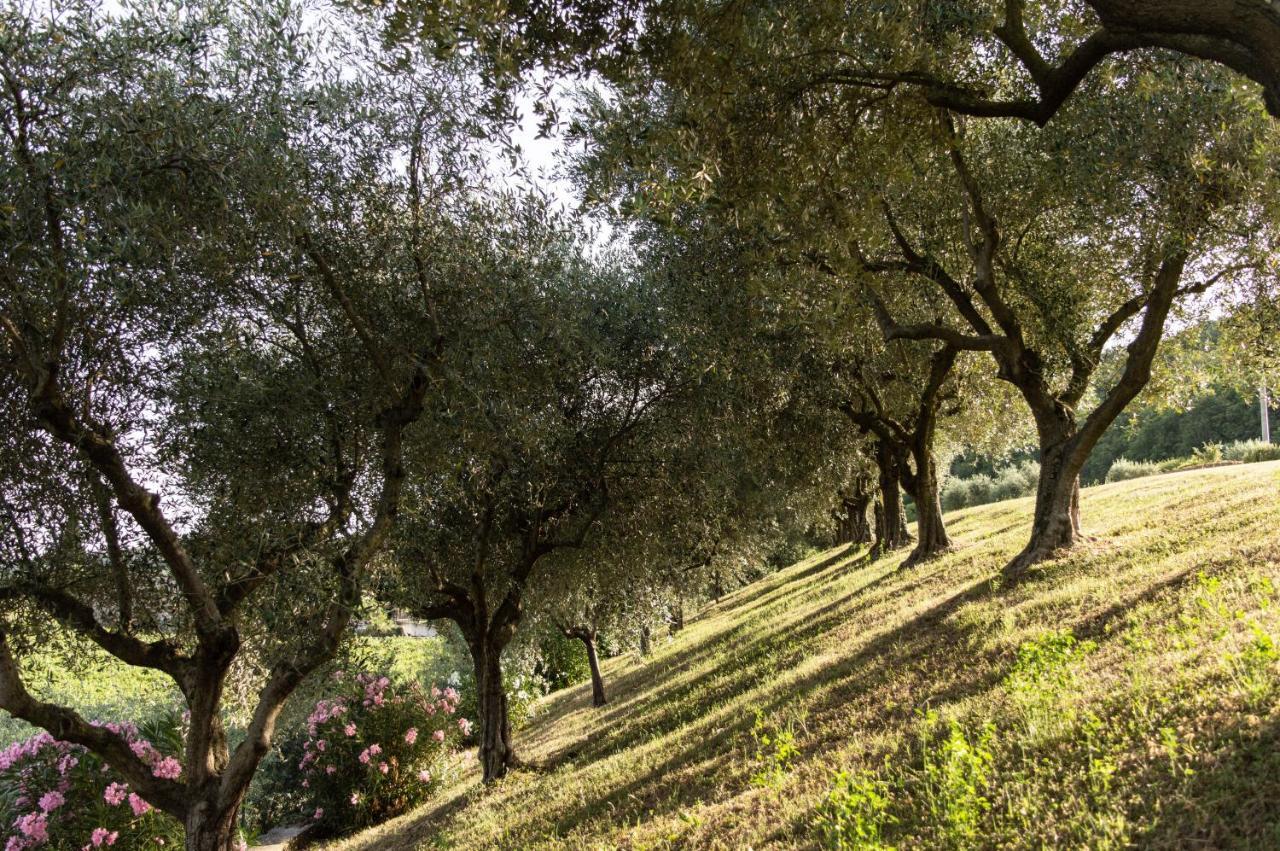 Villa Agriturismo Ca' Cristane Rivoli Veronese Exterior foto