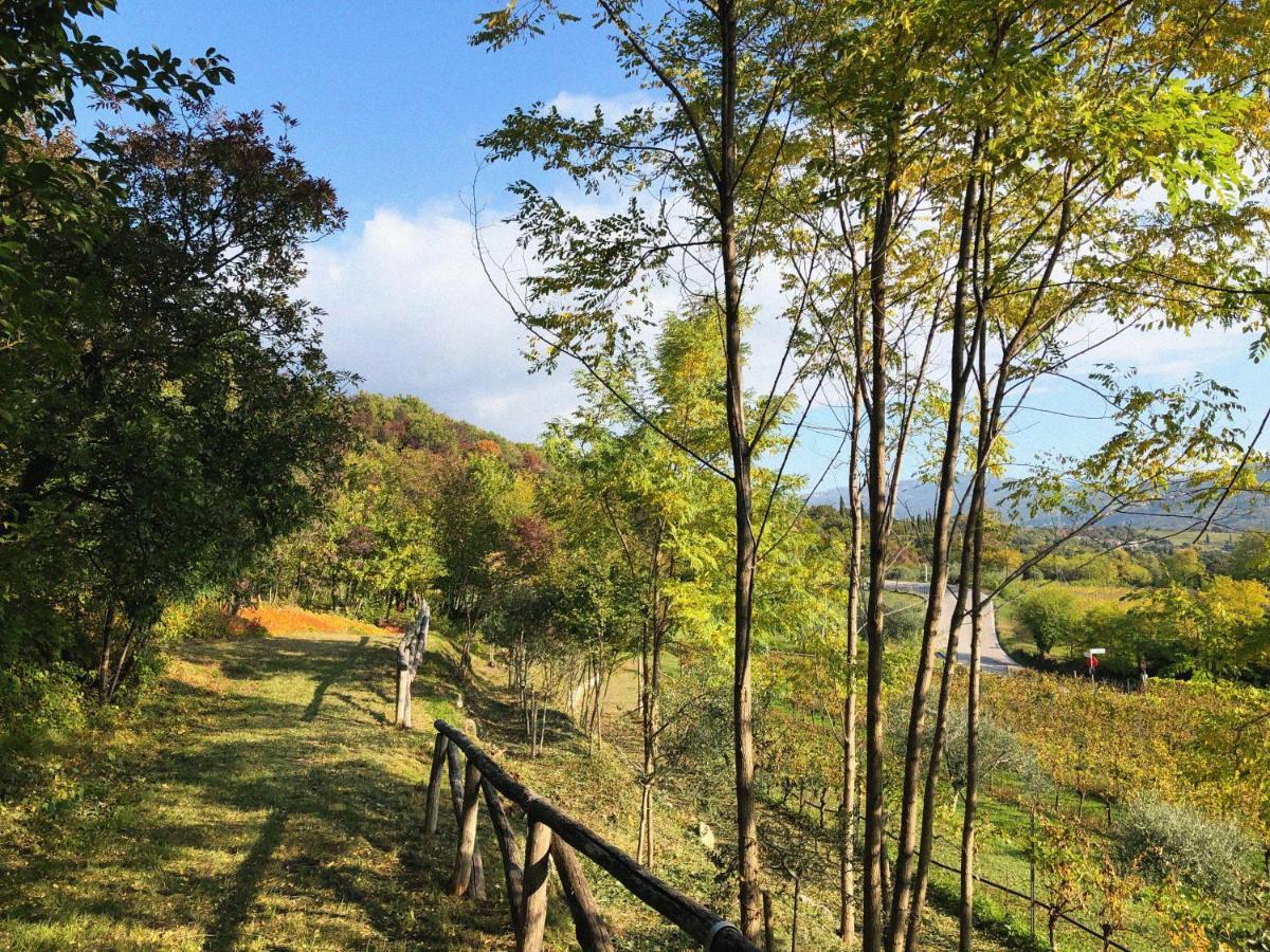 Villa Agriturismo Ca' Cristane Rivoli Veronese Exterior foto